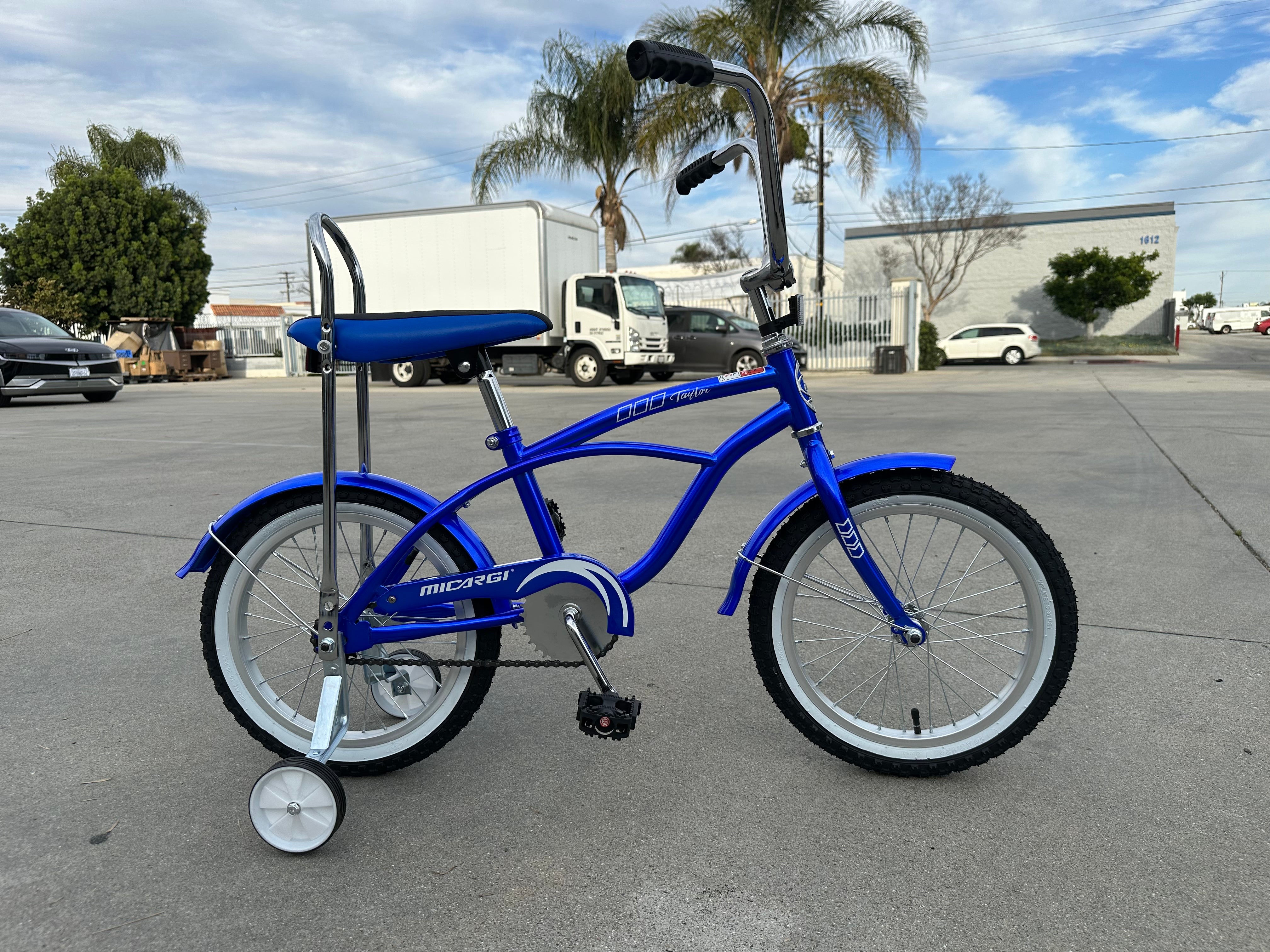 Micargi Taylor 16" 4-7-year-old Boy and Girls Bike Kids Bicycle - Chico USA, Inc.