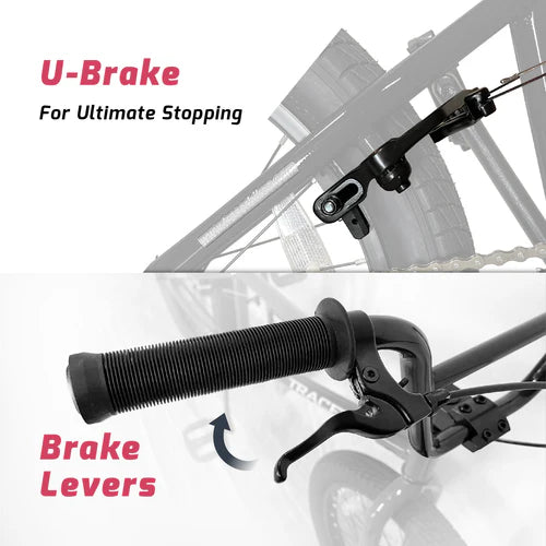 Tracer Bikes | Tracer Edge Freestyle 7.0 BMX Bike for Kids, Adults, and Beginners, 20-Inch Wheels | Chico USA, Inc.
