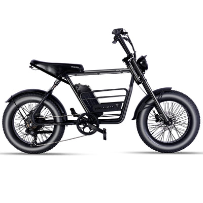 Tracer Verge 20" Electric Motor E-Bike - Chico USA, Inc.