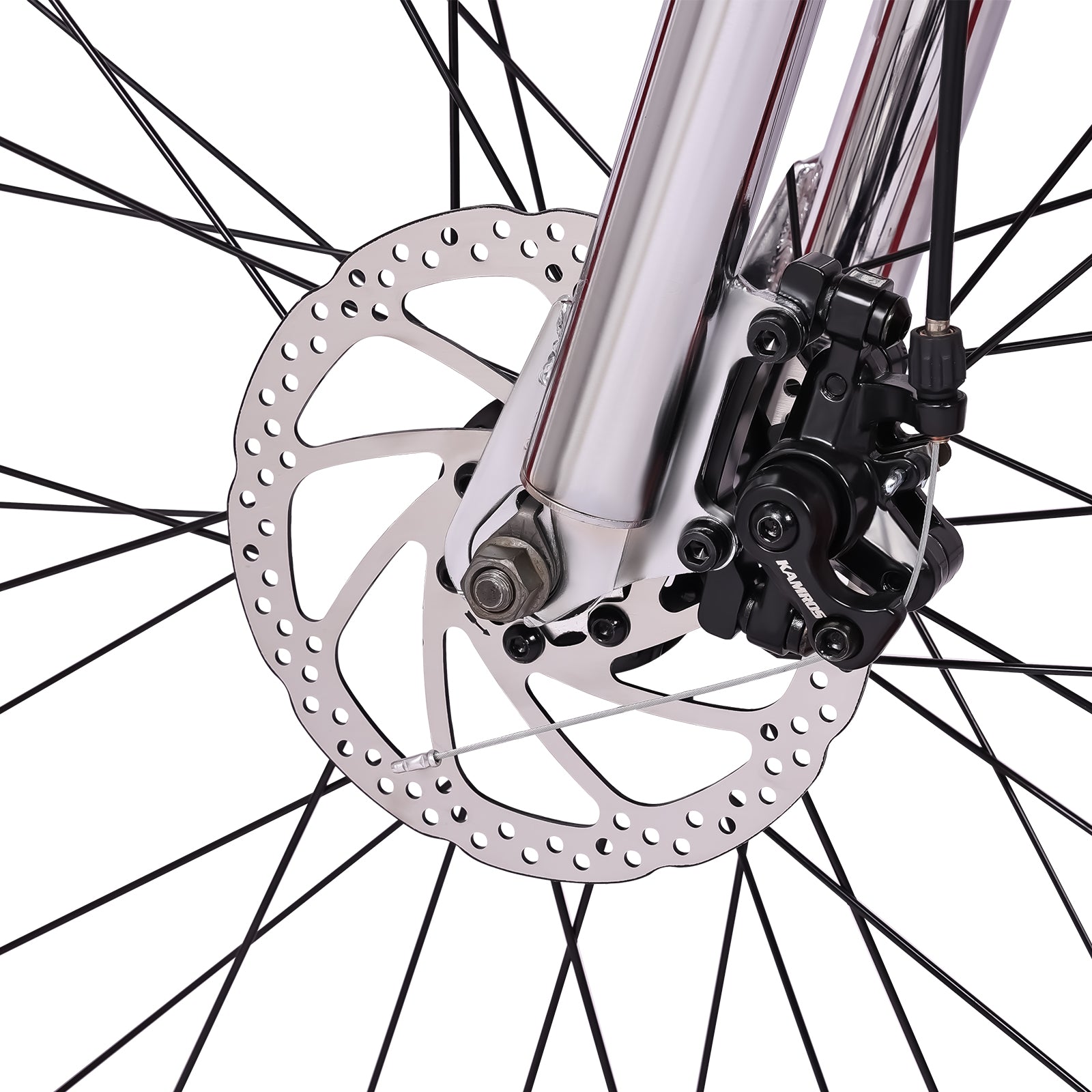 Micargi Largo GT7 29"  7-Speed Beach Cruiser Bike - Chico USA, Inc.