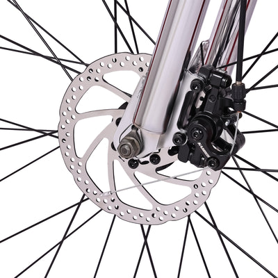 Micargi Largo GT7 29"  7-Speed Beach Cruiser Bike - Chico USA, Inc.