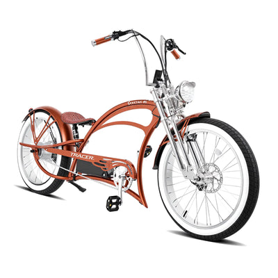 Severus DTS 800W Electric Stretch Cruiser Bike