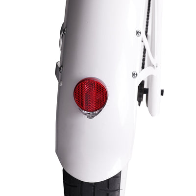 Raptor Pro DS 800W Stretch Cruiser Ebike - Chico USA, Inc.