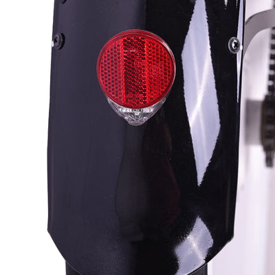 Raptor Pro DS 800W Stretch Cruiser Ebike - Chico USA, Inc.