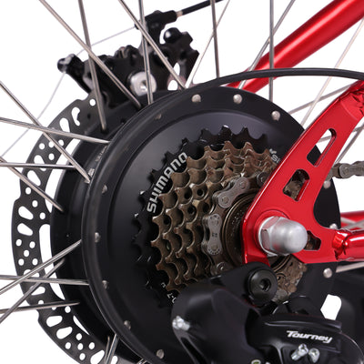 Micargi Raiatea 500W Tandem Electric Bicycle - Chico USA, Inc.