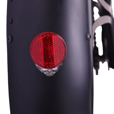 Raptor Pro DS 800W Stretch Cruiser Ebike - Chico USA, Inc.