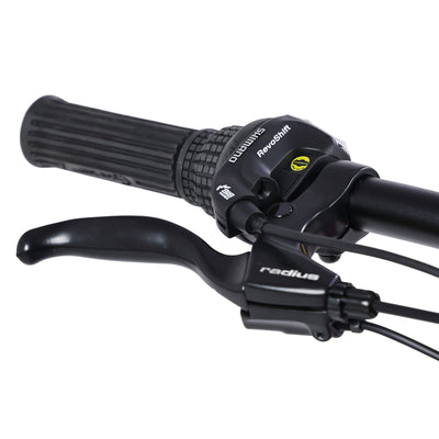 Micargi Raiatea 500W Tandem Electric Bicycle - Chico USA, Inc.