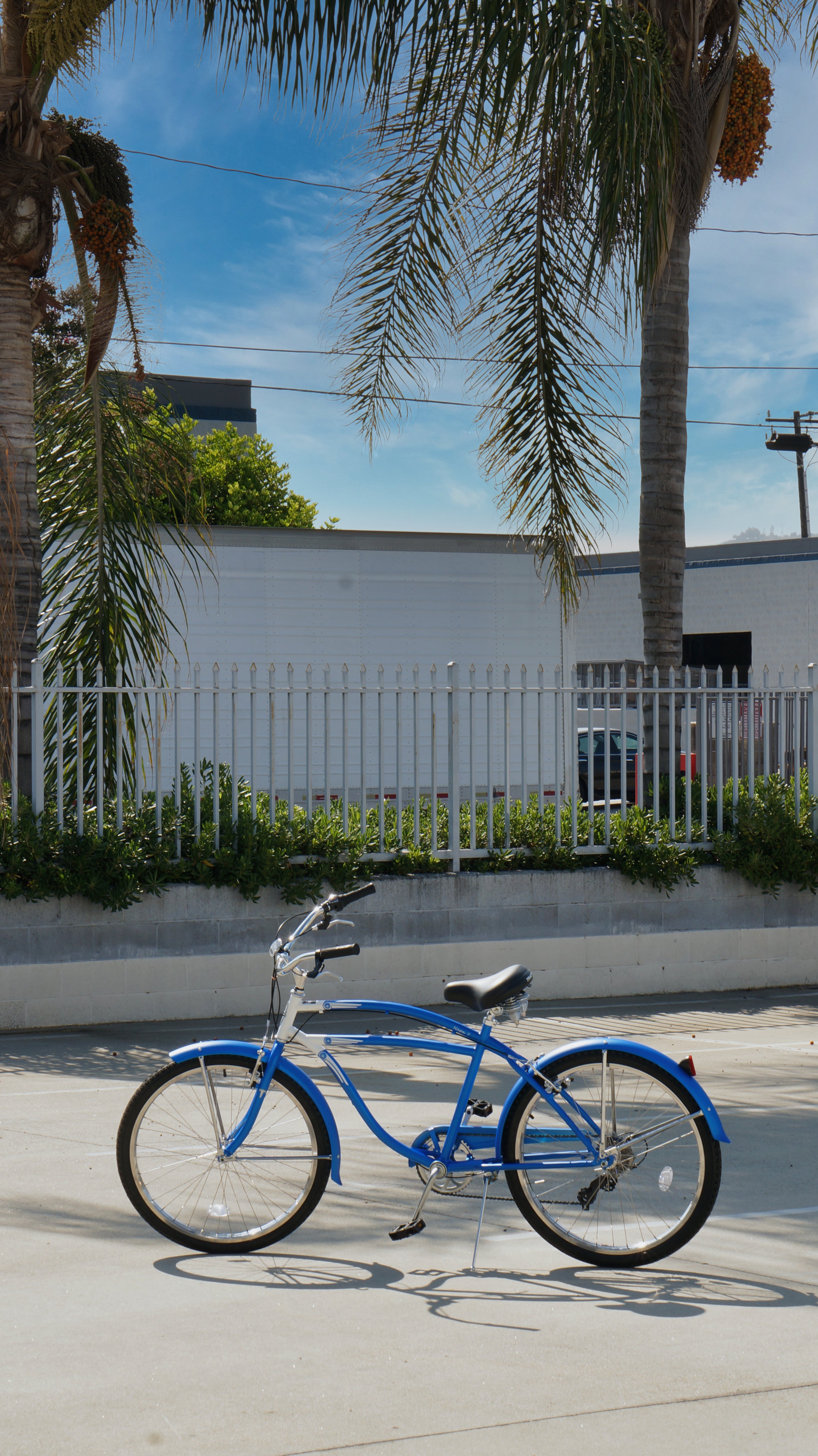 Tracer Bikes | Tracer Napa Cruiser Bike 7-Speed with Comfort Saddle and Steel Fenders |  Chico USA, Inc. 