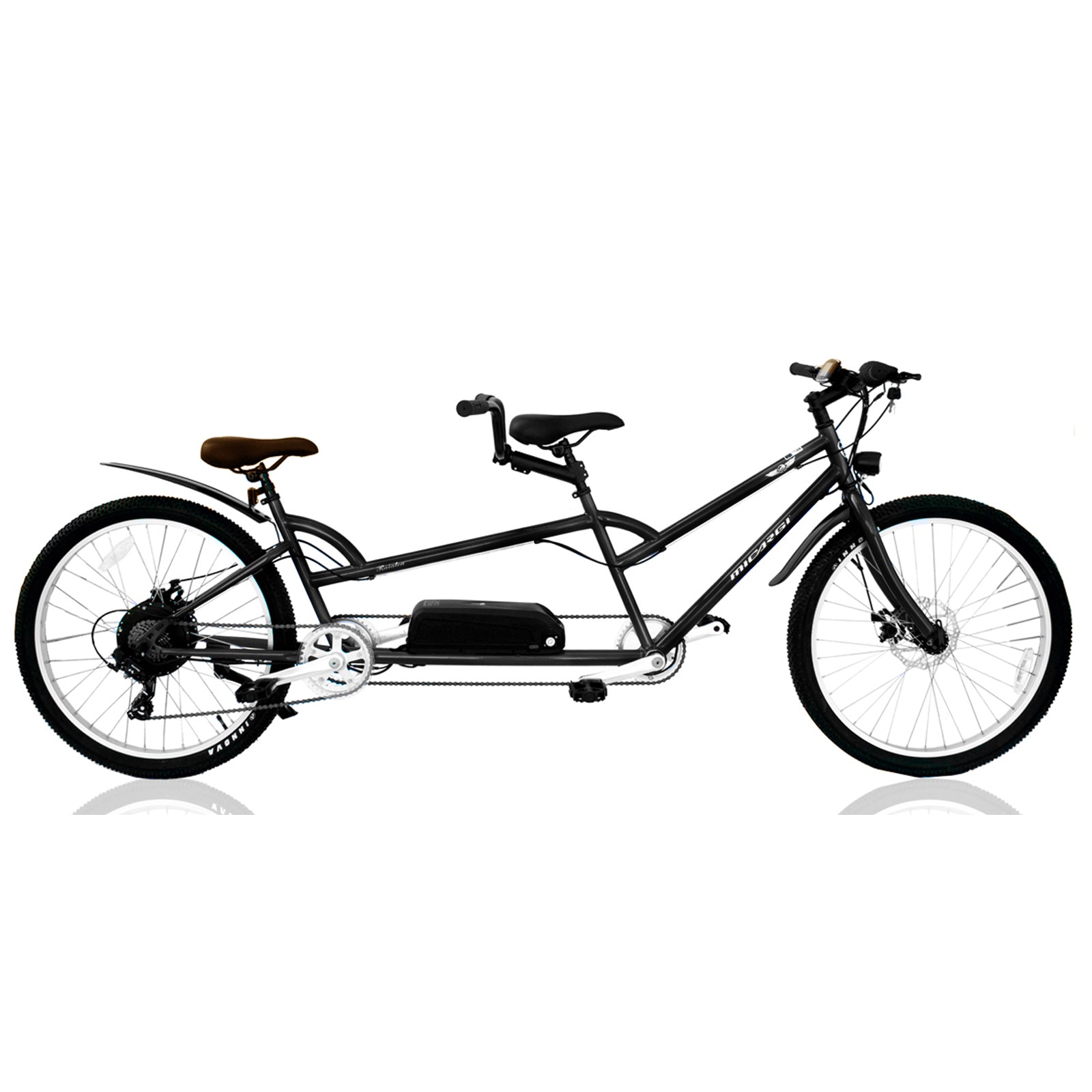 Micargi Raiatea 500W Tandem Electric Bicycle - Chico USA, Inc.