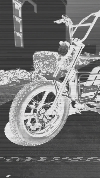 Tracer Verge 20" 800w Electric Motor E-Bike
