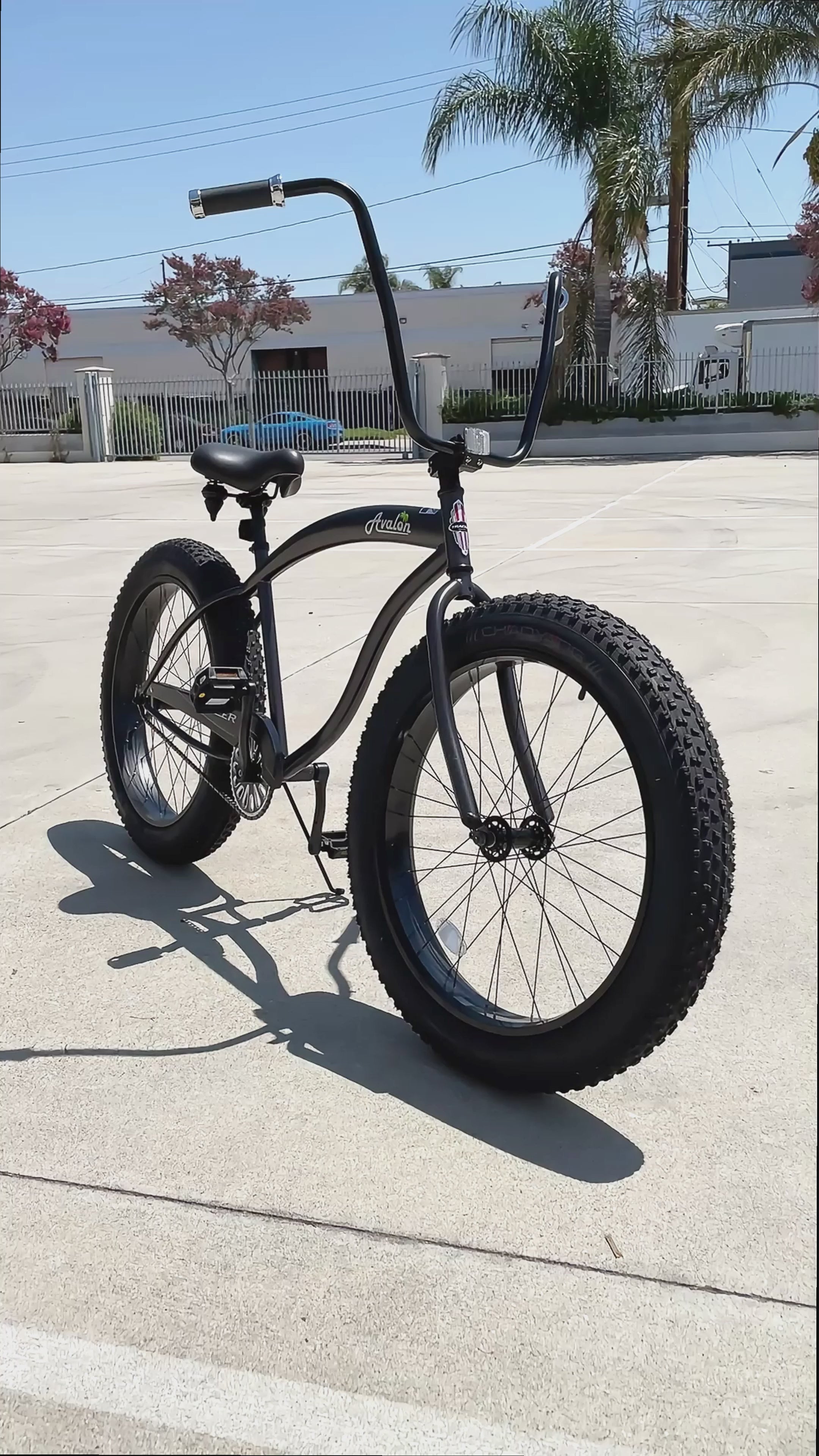 Tracer Bikes Avalon Beach Cruiser Bike for Adults | 26