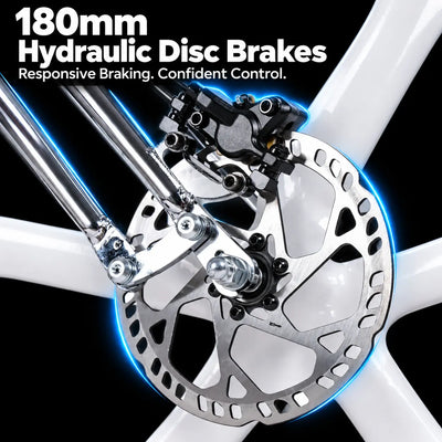 Tracer Raptor Pro DS 800W Chopper Style Stretch Cruiser Bike - Chico USA, Inc.